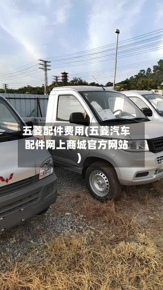 五菱配件费用(五菱汽车配件网上商城官方网站)