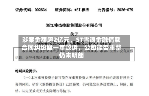 涉案金额超2亿元，ST雪浪金融借款合同纠纷案一审败诉	，公司能否重整仍未明朗-第2张图片