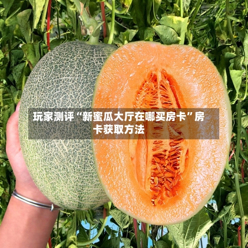 玩家测评“新蜜瓜大厅在哪买房卡”房卡获取方法-第2张图片