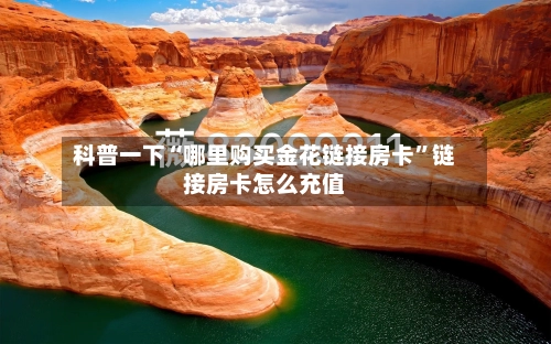 科普一下“哪里购买金花链接房卡”链接房卡怎么充值-第2张图片