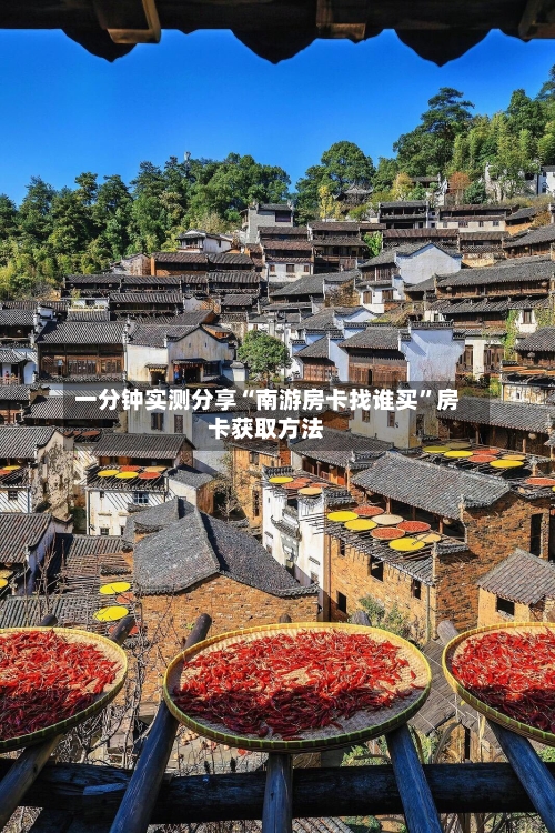 一分钟实测分享“南游房卡找谁买”房卡获取方法-第2张图片