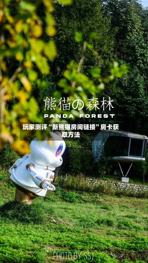玩家测评“新熊猫房间链接	”房卡获取方法-第2张图片