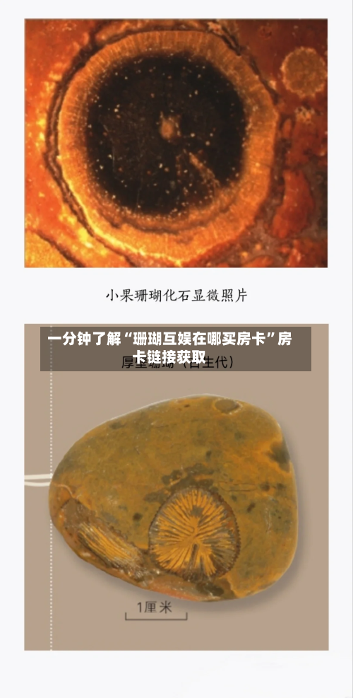 一分钟了解“珊瑚互娱在哪买房卡	”房卡链接获取-第2张图片