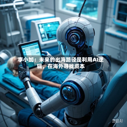 李小加：未来的出海路径是利用AI逻辑	，在海外寻找资本-第2张图片