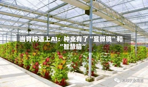 当育种遇上AI：种业有了“显微镜”和“智慧脑”-第3张图片