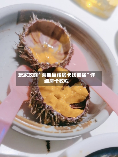 玩家攻略“海胆巨炮房卡找谁买”详细房卡教程-第2张图片