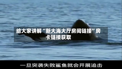 给大家讲解“新大海大厅房间链接”房卡链接获取-第2张图片
