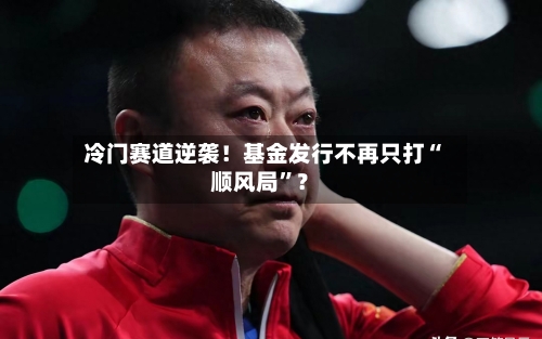 冷门赛道逆袭！基金发行不再只打“顺风局	”？-第2张图片