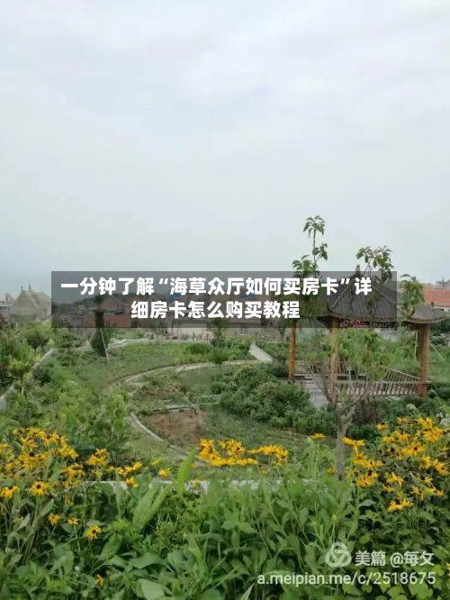 一分钟了解“海草众厅如何买房卡”详细房卡怎么购买教程-第2张图片