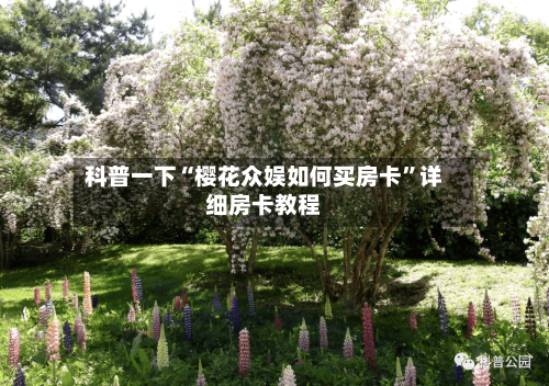 科普一下“樱花众娱如何买房卡”详细房卡教程-第2张图片