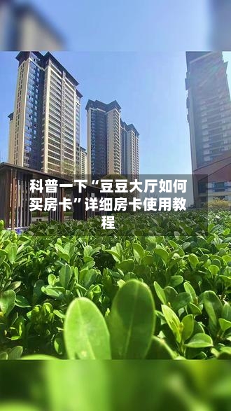 科普一下“豆豆大厅如何买房卡”详细房卡使用教程-第2张图片
