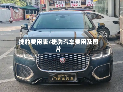 捷豹费用表/捷豹汽车费用及图片-第2张图片