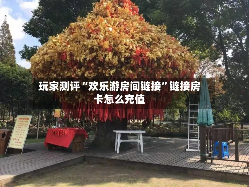 玩家测评“欢乐游房间链接”链接房卡怎么充值-第2张图片