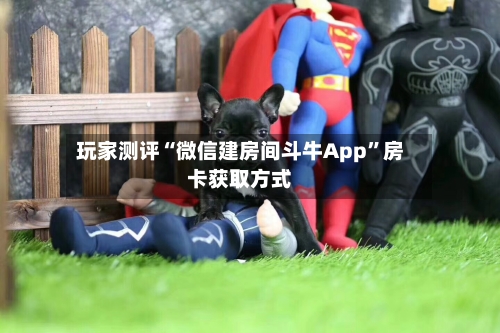 玩家测评“微信建房间斗牛App	”房卡获取方式-第3张图片