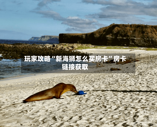 玩家攻略“新海狮怎么买房卡	”房卡链接获取-第3张图片