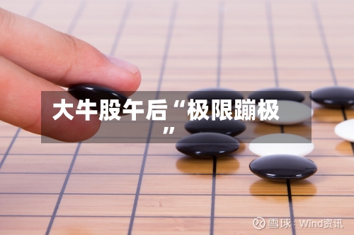 大牛股午后“极限蹦极”-第2张图片