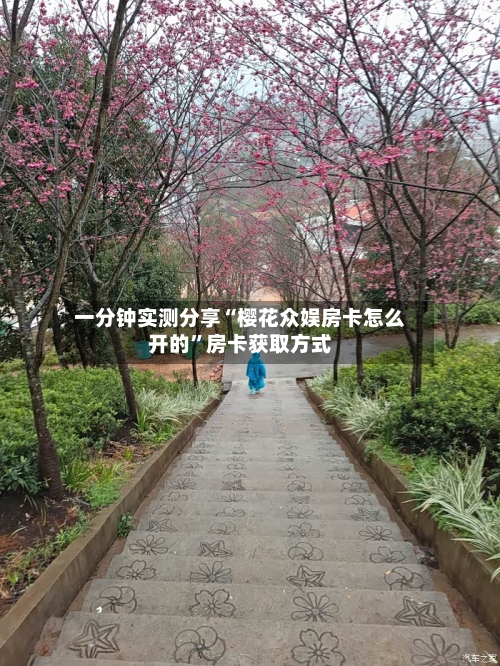 一分钟实测分享“樱花众娱房卡怎么开的	”房卡获取方式-第3张图片