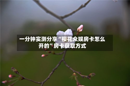 一分钟实测分享“樱花众娱房卡怎么开的”房卡获取方式-第2张图片