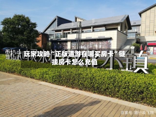 玩家攻略“正版道游在哪买房卡	”链接房卡怎么充值-第3张图片