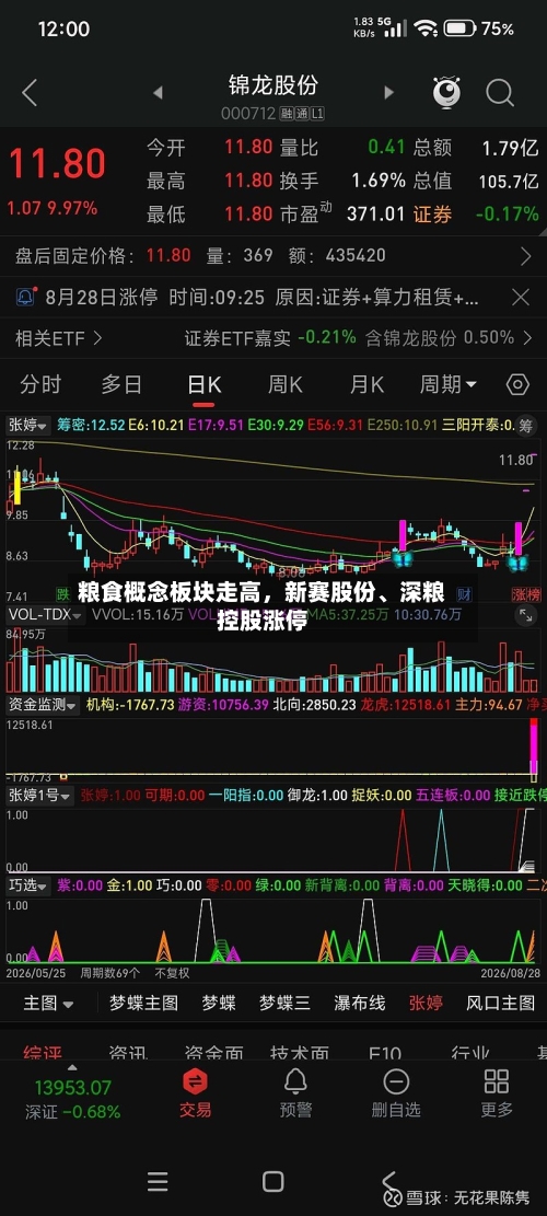 粮食概念板块走高	，新赛股份、深粮控股涨停-第2张图片
