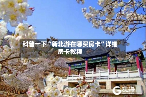 科普一下“新北游在哪买房卡	”详细房卡教程-第2张图片