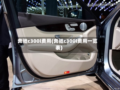 奔驰c300l费用(奔驰c300l费用一览表)-第3张图片