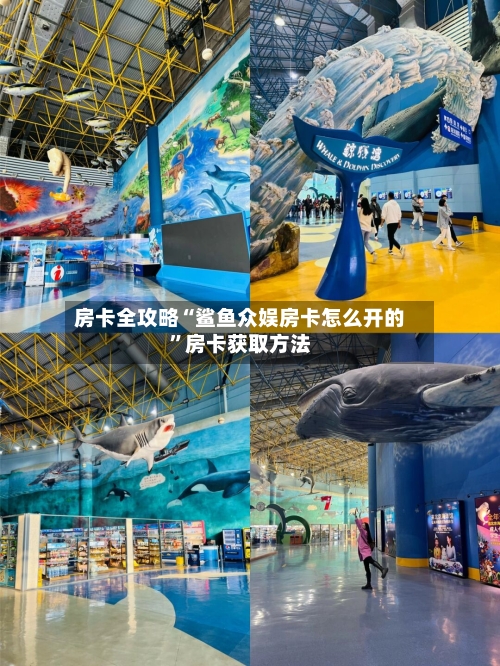 房卡全攻略“鲨鱼众娱房卡怎么开的”房卡获取方法-第2张图片
