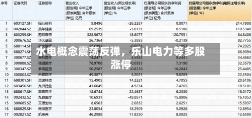 水电概念震荡反弹，乐山电力等多股涨停-第2张图片