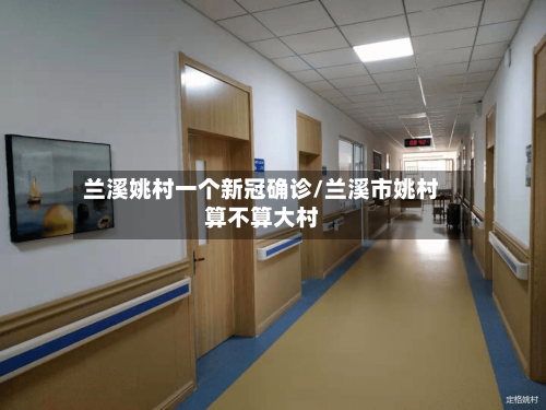 兰溪姚村一个新冠确诊/兰溪市姚村算不算大村-第3张图片