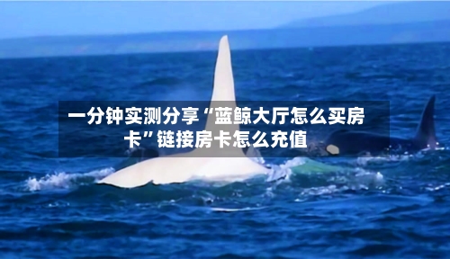 一分钟实测分享“蓝鲸大厅怎么买房卡”链接房卡怎么充值-第3张图片