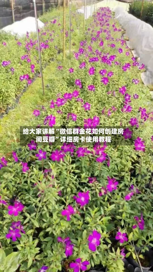 给大家讲解“微信群金花如何创建房间豆瓣”详细房卡使用教程-第2张图片
