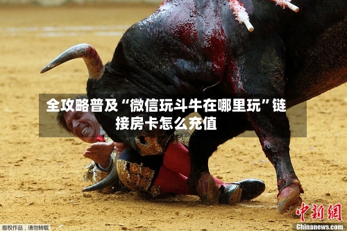 全攻略普及“微信玩斗牛在哪里玩”链接房卡怎么充值-第2张图片
