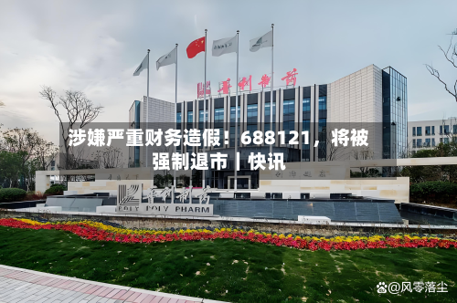 涉嫌严重财务造假！688121，将被强制退市｜快讯-第2张图片