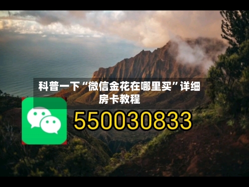 科普一下“微信金花在哪里买”详细房卡教程-第2张图片
