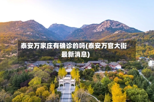 泰安万家庄有确诊的吗(泰安万官大街最新消息)