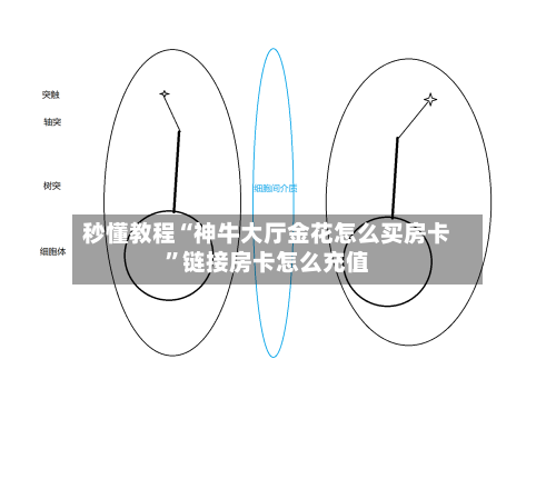 秒懂教程“神牛大厅金花怎么买房卡	”链接房卡怎么充值-第3张图片