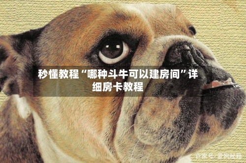 秒懂教程“哪种斗牛可以建房间”详细房卡教程-第2张图片