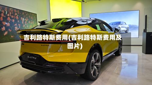 吉利路特斯费用(吉利路特斯费用及图片)