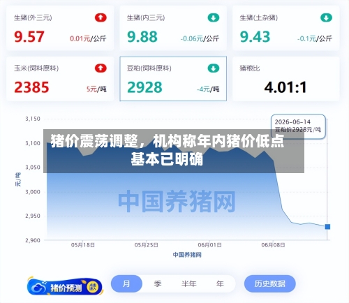 猪价震荡调整，机构称年内猪价低点基本已明确-第2张图片