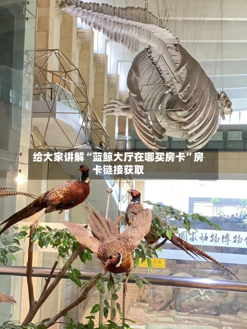 给大家讲解“蓝鲸大厅在哪买房卡”房卡链接获取-第2张图片