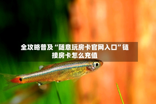 全攻略普及“随意玩房卡官网入口	”链接房卡怎么充值-第3张图片