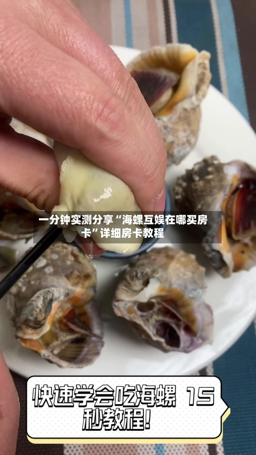 一分钟实测分享“海螺互娱在哪买房卡”详细房卡教程-第2张图片
