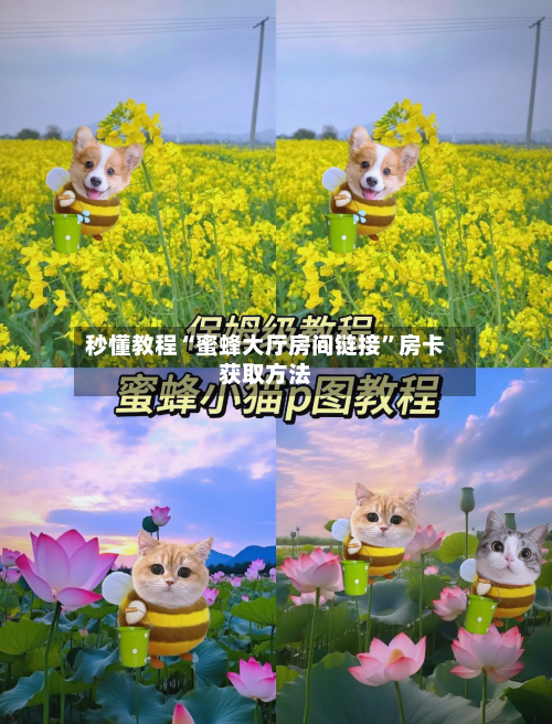 秒懂教程“蜜蜂大厅房间链接”房卡获取方法-第2张图片
