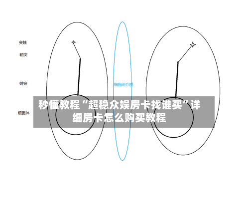 秒懂教程“超稳众娱房卡找谁买	”详细房卡怎么购买教程-第2张图片