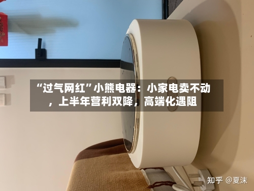 “过气网红”小熊电器：小家电卖不动，上半年营利双降，高端化遇阻-第2张图片
