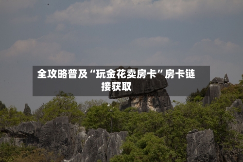全攻略普及“玩金花卖房卡	”房卡链接获取-第2张图片