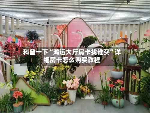 科普一下“鸿运大厅房卡找谁买”详细房卡怎么购买教程-第2张图片
