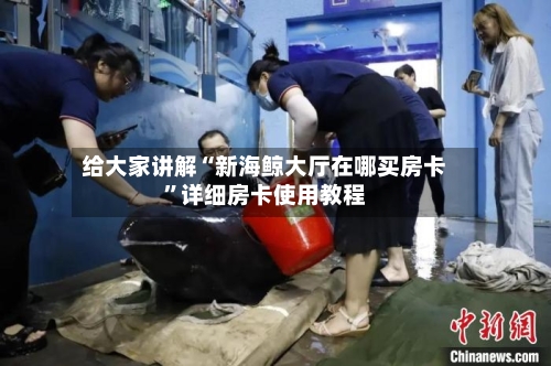 给大家讲解“新海鲸大厅在哪买房卡	”详细房卡使用教程-第2张图片