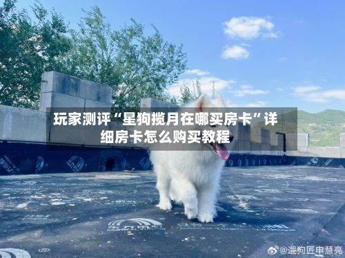 玩家测评“星狗揽月在哪买房卡”详细房卡怎么购买教程-第3张图片