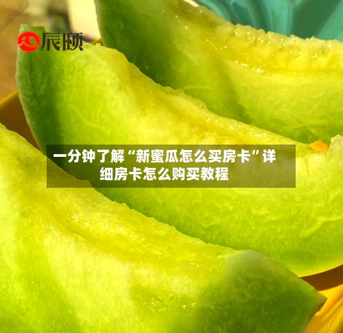一分钟了解“新蜜瓜怎么买房卡”详细房卡怎么购买教程-第2张图片